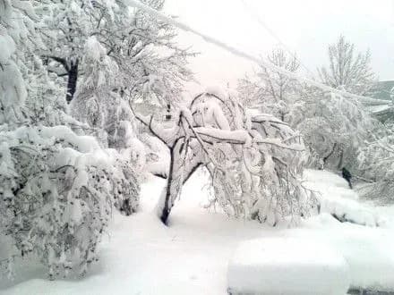 Сьогодні можливі хуртовини, подекуди сильні опади
