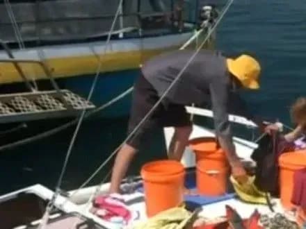 Новозеландець і його донька місяць дрейфували на човні у відкритому морі