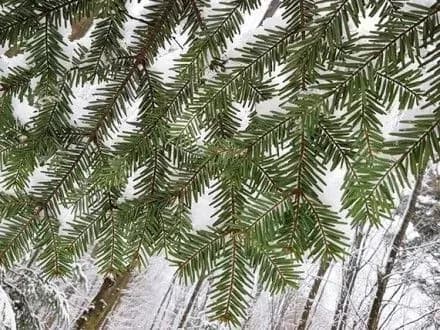 Завтра в Украине ожидается переменная облачность и гололедица