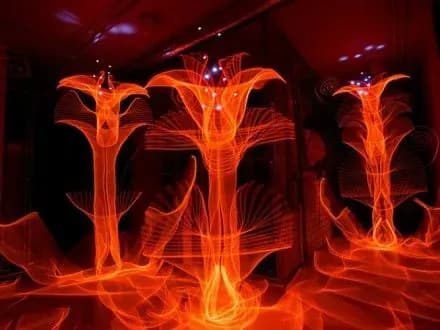 Фотограф з Фінляндії створив серію фотографій у темряві