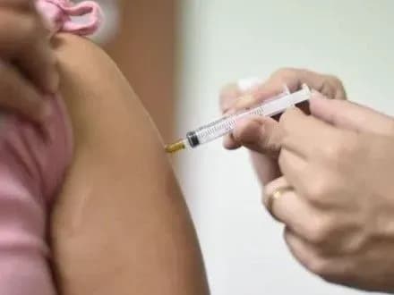 У Бразилії може спалахнути епідемія жовтої лихоманки