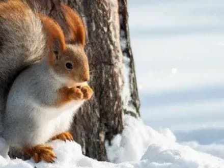 Сьогодні в Києві опадів не прогнозують