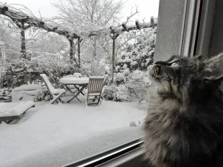 Температура в Украине сегодня повысится