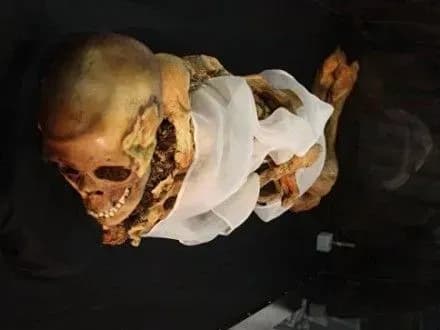 В России мумий из Эрмитажа просканировали на томографе