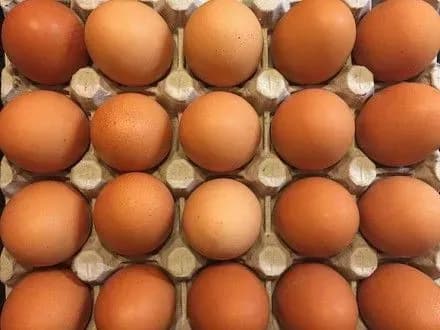 Мера Дрогобича під час сесії міськради закидали яйцями