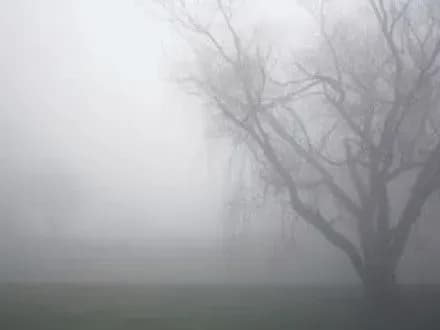 Сьогодні на Київщині очікується туман