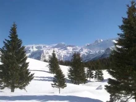 Лавина накрила групу лижників в Італії