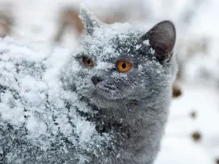 В Києві сьогодні місцями ожеледиця