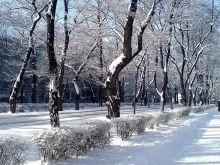 Сегодня в столице ожидается небольшой снег