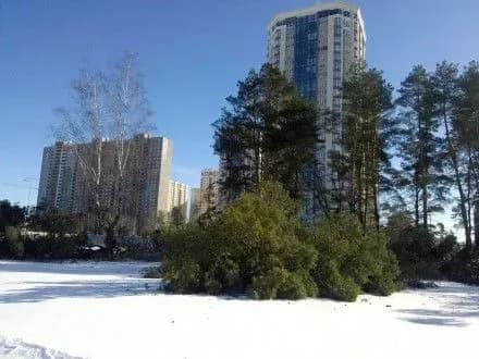 В Броварах вновь обостряется противостояние между обществом и застройщиком