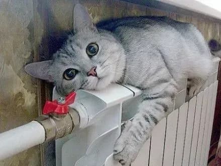 Лікарня залишилась без тепла у Херсоні через відключення 10 котелень