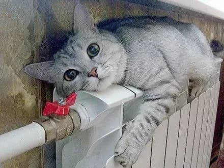 Более 50 тысяч киевлян получат перерасчет за отопление