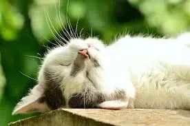 Сегодня в столице сухо и тепло