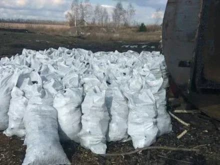 Підпільний цех із виробництва деревного вугілля викрили на Житомирщині