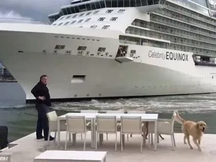 Круїзний лайнер ледь не врізався в будинок на воді у Флориді