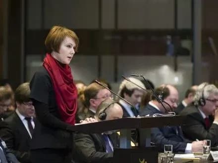 Е.Зеркаль: Россия представляет в Гааге не доказательства, а презентацию новостей российских СМИ