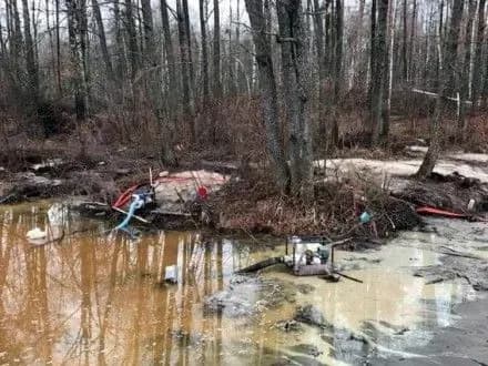 Нелегальних бурштинокопачів затримали на Житомирщині