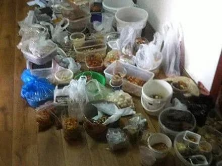 Поліція у Рівному вилучила бурштину на 2 млн. грн