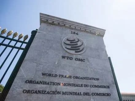 Групу експертів щодо транзитного позову України проти РФ планують створити сьогодні у СОТ