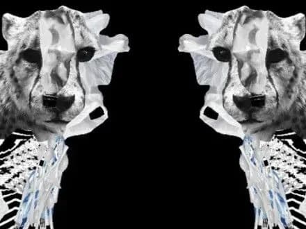 У Києві сьогодні стартує фестиваль Docudays UA