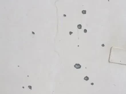 У Лівії обстріляли будівлю посольства України - посол