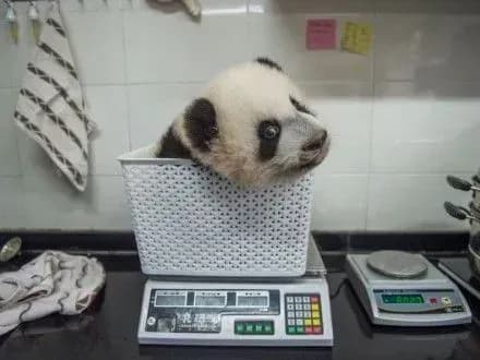 Визначено кращі фотографії за версією Sony World Photography Awards