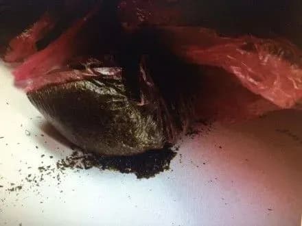 На КПВВ "Марьинка" пограничники обнаружили около 250 граммов наркотического вещества