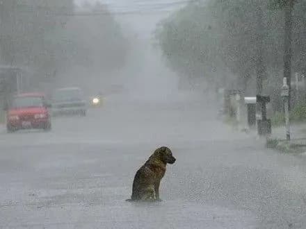 Завтра в Києві буде дощова погода