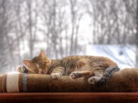 Сьогодні в столиці опадів не очікується