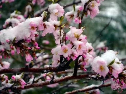 Сьогодні в Україні буде холодно