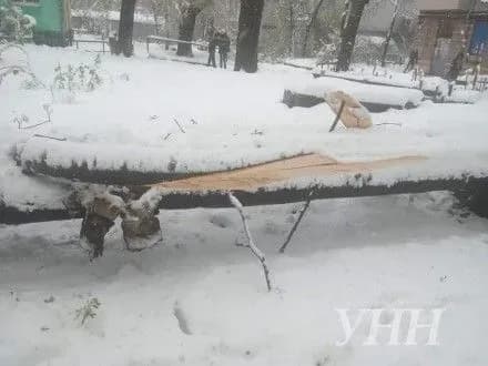 У Дніпрі зафіксували наймасштабнішу негоду з 1902 року