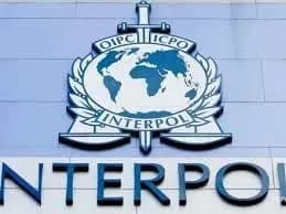 Розшукуваних Інтерполом 2-ох іноземців та автівку виявили в Україні