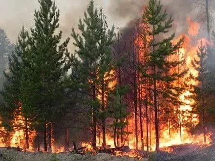 Пожежну небезпеку 4 класу оголосили у Києві 28-30 квітня