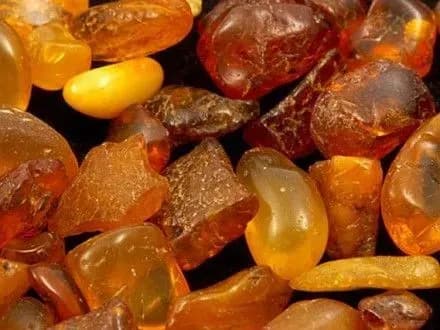 Затриманий в Угорщині контрабандний бурштин в Україну не повернуть