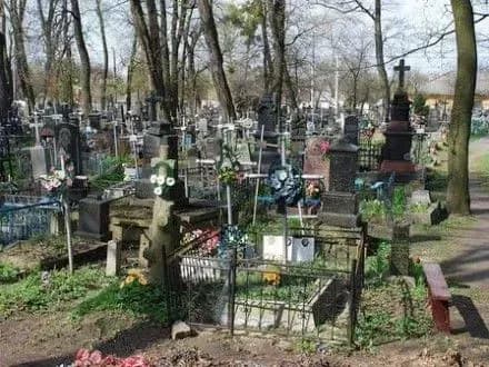 Підлітка, який вбив рідну тітку, арештовано у Торецьку