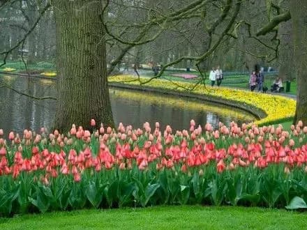 Сьогодні в Києві буде тепла погода