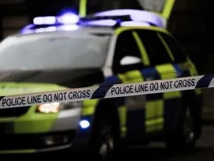 Сім'ї жертв нападу Сан-Бернардіно подали позов проти Тwitter, Google і Facebook