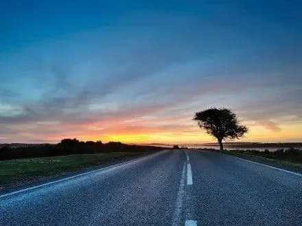 Участники тендера Черкасской службы автодорог пригрозили заблокировать торги