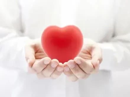 Українські зірки запустили благодійну акцію "Дорога до серця"