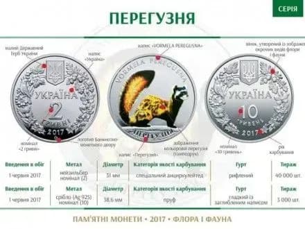 Нацбанк випустив пам’ятні монети із зображенням рідкісного хижака