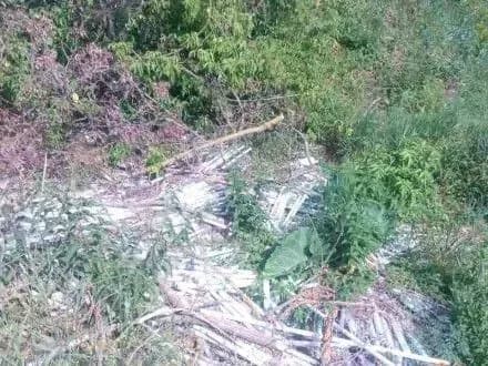 Близько трьох тисяч ртутьвмісних ламп виявили на Київщині