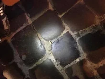 Вночі у центрі Львова відбулась стрілянина, є поранені