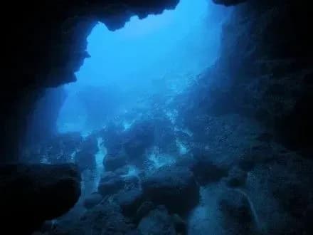 На дні Маріанської западини знайшли небезпечні отрути і токсини