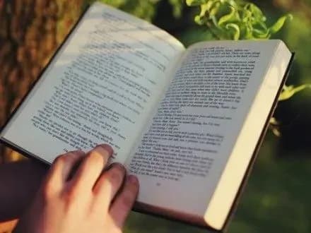 Місто Шарджа отримає титул Всесвітньої столиці книги 2019 року