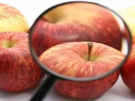 Закон про безпеку харчових продуктів вже понад місяць очікує на підпис Президента