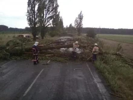 Внаслідок негоди в Україні знеструмлено 881 населений пункт