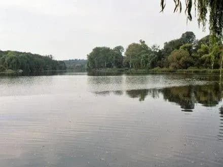 Бактерії збудники холери виявлено у річці на Запоріжжі