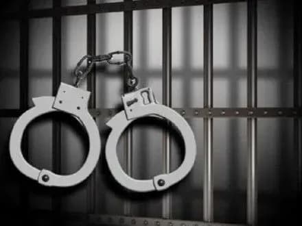 Ще одного підозрюваного у смерті дівчини на Житомирщині взяли під варту