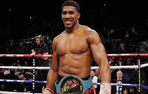 Джошуа назвав найкращого боксера світу