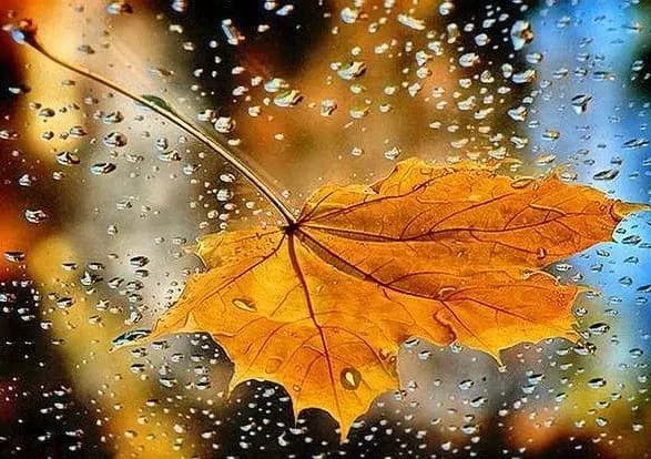 Сьогодні в Києві очікується невеликий дощ